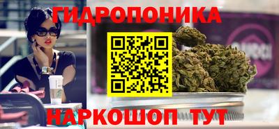сатива Нарткала