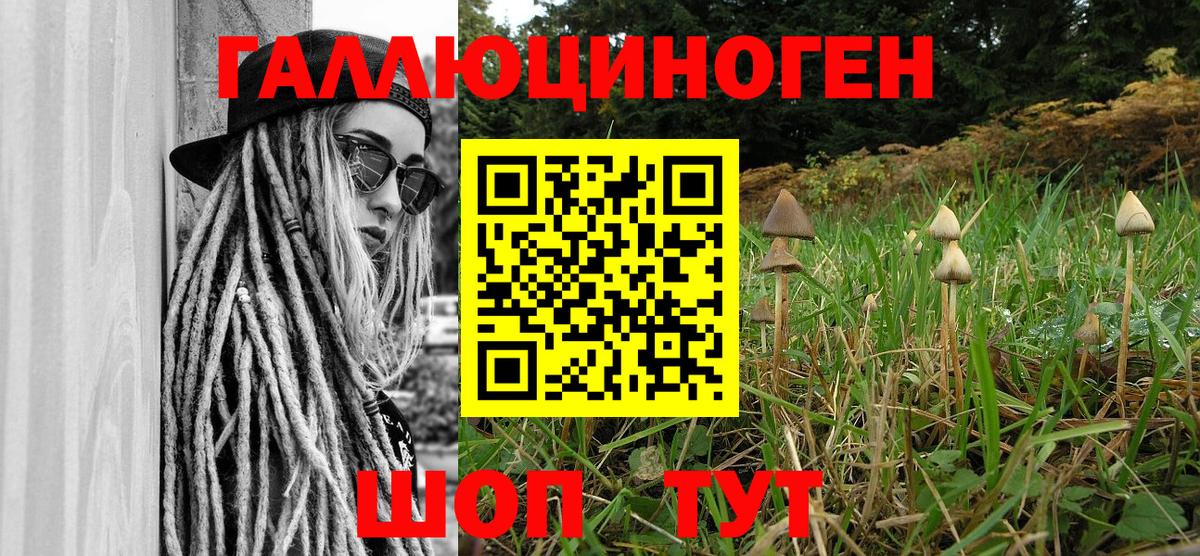Псилоцибиновые грибы ЛСД Тавда