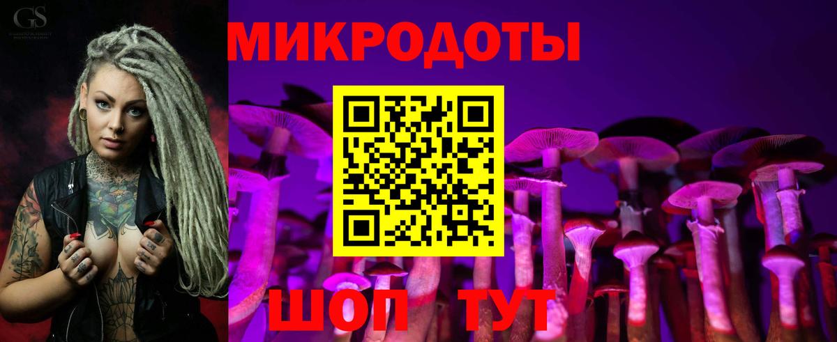 Псилоцибиновые грибы Psilocybine cubensis  Вход с VPN  Тавда 